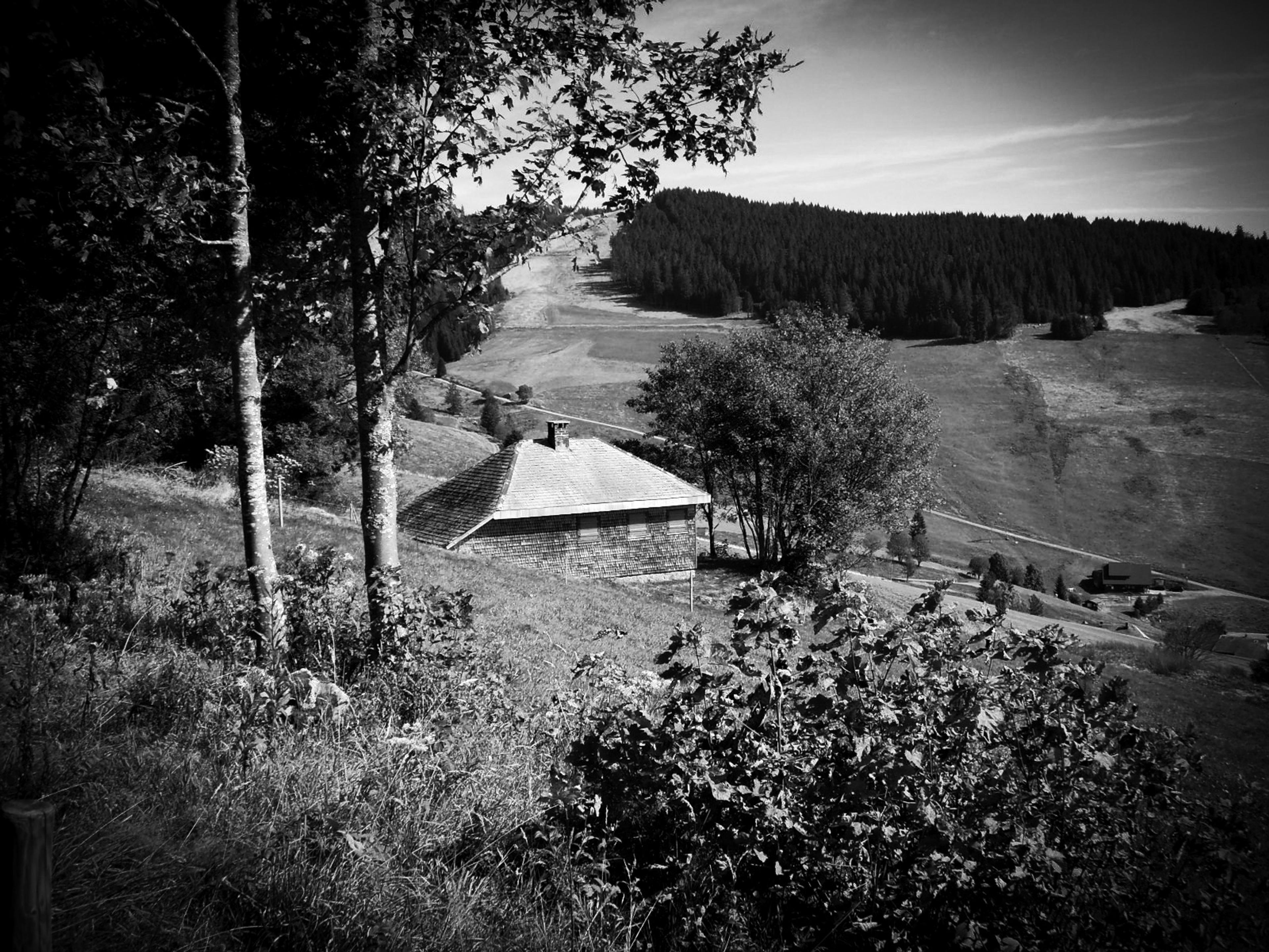 Black and white photo of a hillside cabin surrounded by trees with a distant view of a forest and grassy slopes.