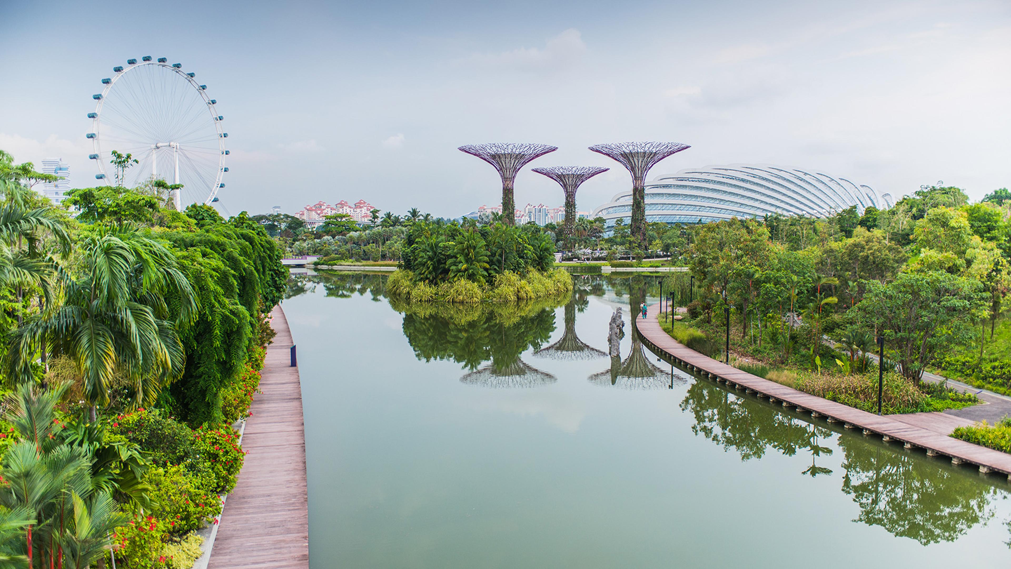 Singapore’s Gardens by the Bay with Supertree Grove, waterfront paths and the Singapore Flyer in the background.