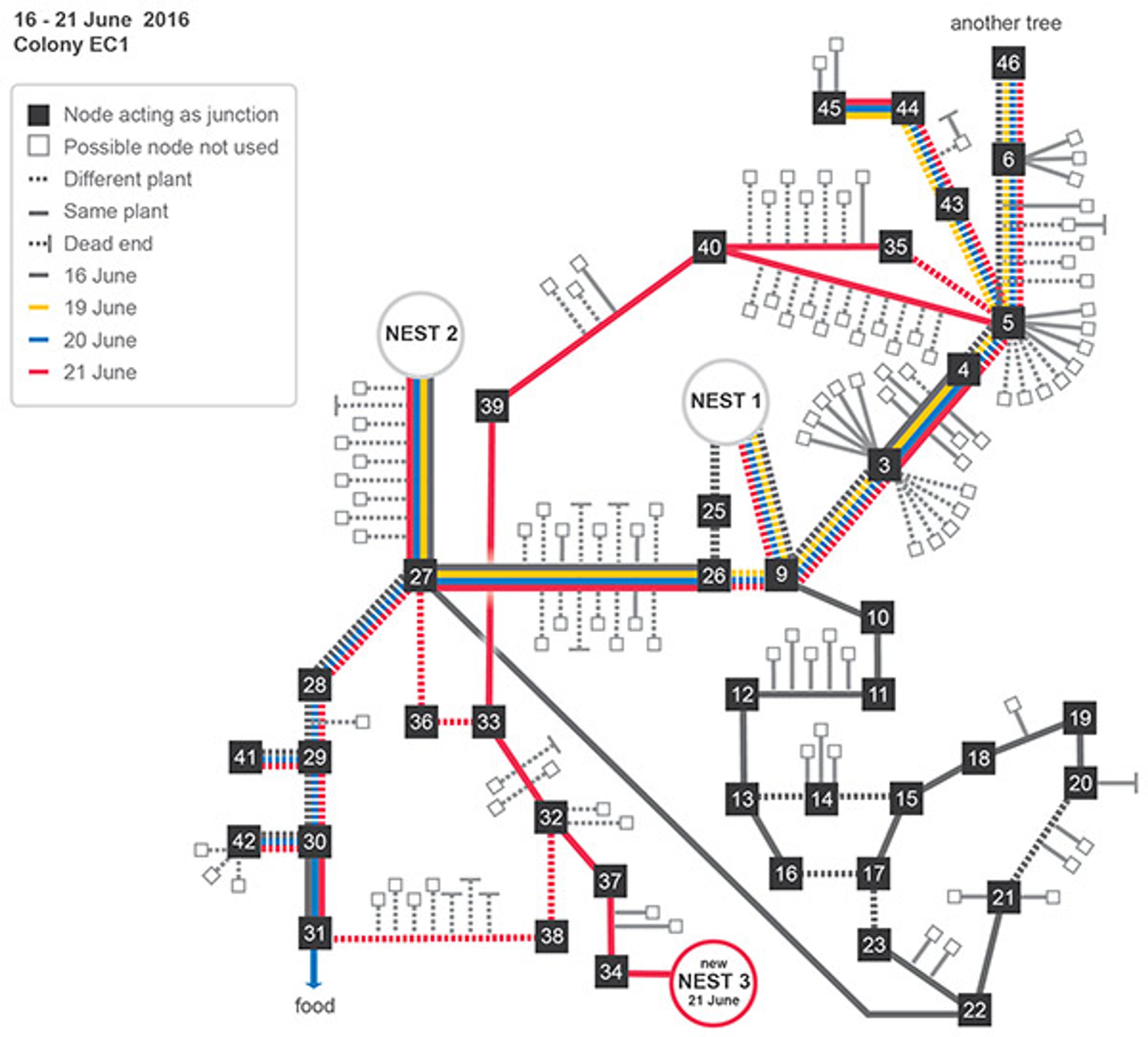 Diagram of an ant colony network from 16-21 June 2016 detailing different plant types and nest connections, with a legend.