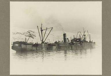 The last whalers: commuting from the North Sea to Antarctica | Aeon Essays