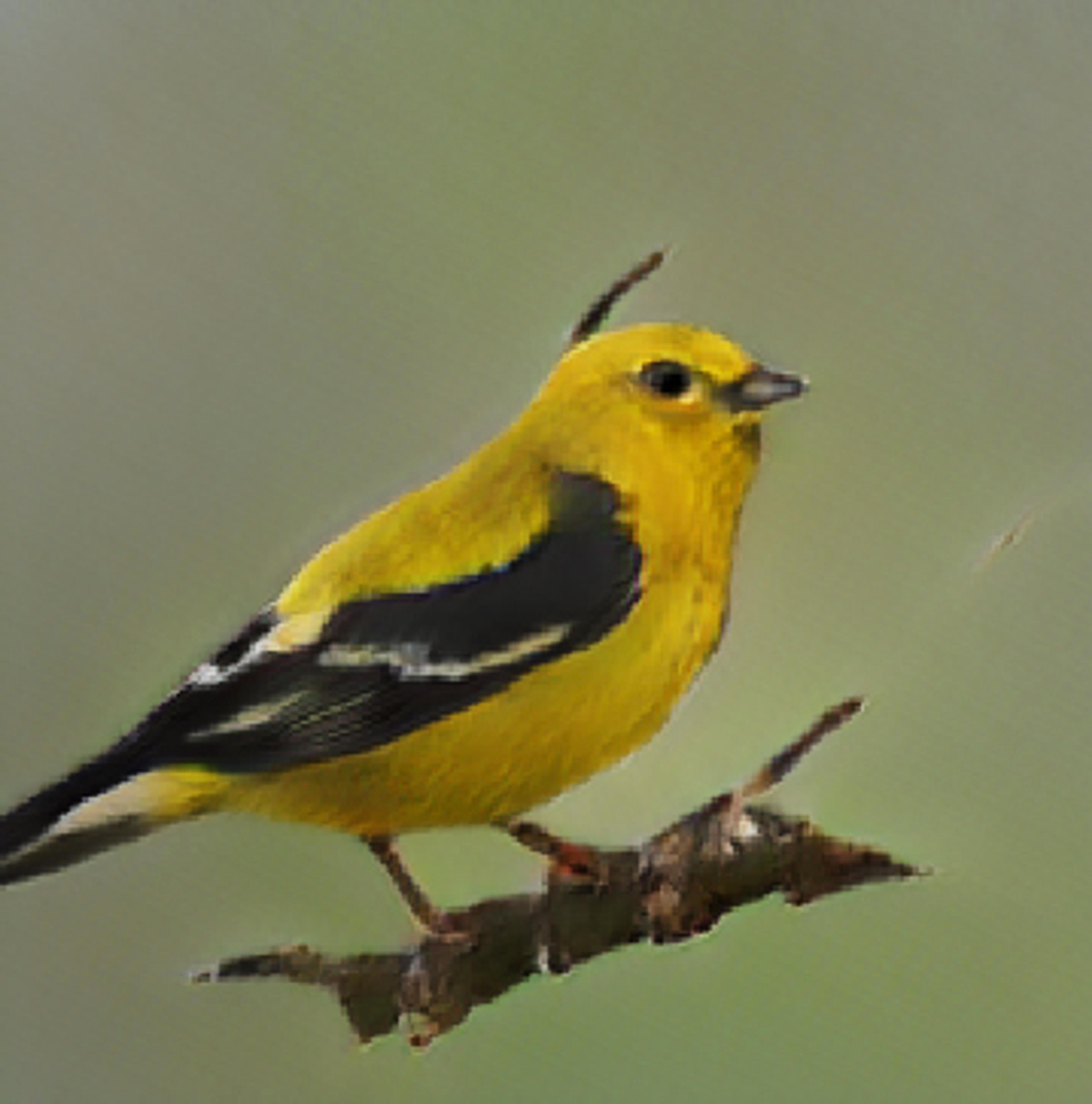 Pixelated AI-generated image of small yellow bird with black wings perched on a branch with a small brown spike coming out of its head.